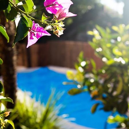 Villa Fiore Torbole Sul Garda Eksteriør bilde